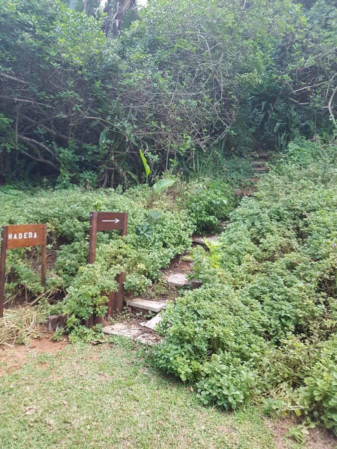 Ballito 69 Perissa Santorini Sea View, Walk To Beach -Family Only Ngoại thất bức ảnh